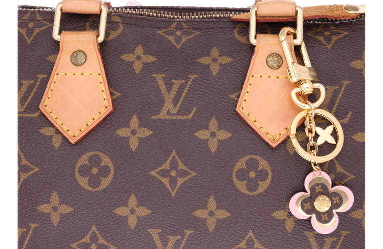 Shop Louis Vuitton MONOGRAM Blooming flowers bb bag charm and key